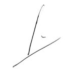 signature-gcc signature-gcc